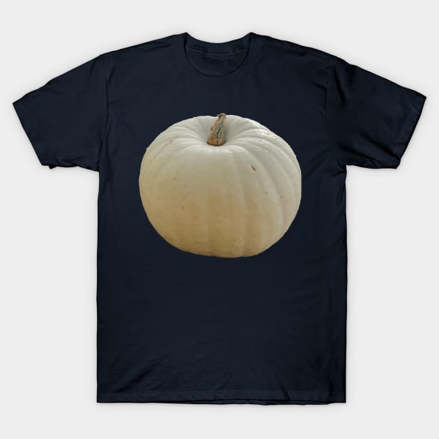 Polar Bear Pumpkin for Halloween Carving T-Shirt by ellenhenryflorals